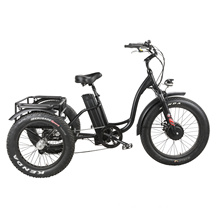 Fat Tyre Motorized Cargo Adult Cheap Electric Tricycle in Customized Color